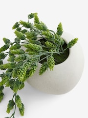Green Arrangement Artificial Hops In White Ceramic Pot - Image 4 of 4