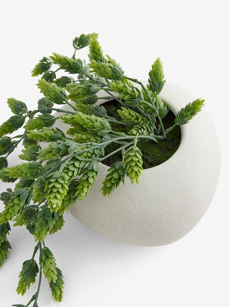 Green Arrangement Artificial Hops In White Ceramic Pot - Image 4 of 4 Green Arrangement Artificial Hops In White Ceramic Pot - Image 4 of 4