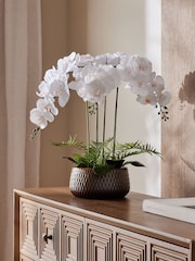 White Artificial Real Touch Orchid In Reactive Ceramic Pot - Image 1 of 6