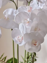 White Artificial Real Touch Orchid In Reactive Ceramic Pot - Image 3 of 6