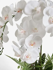 White Artificial Real Touch Orchid In Reactive Ceramic Pot - Image 4 of 6