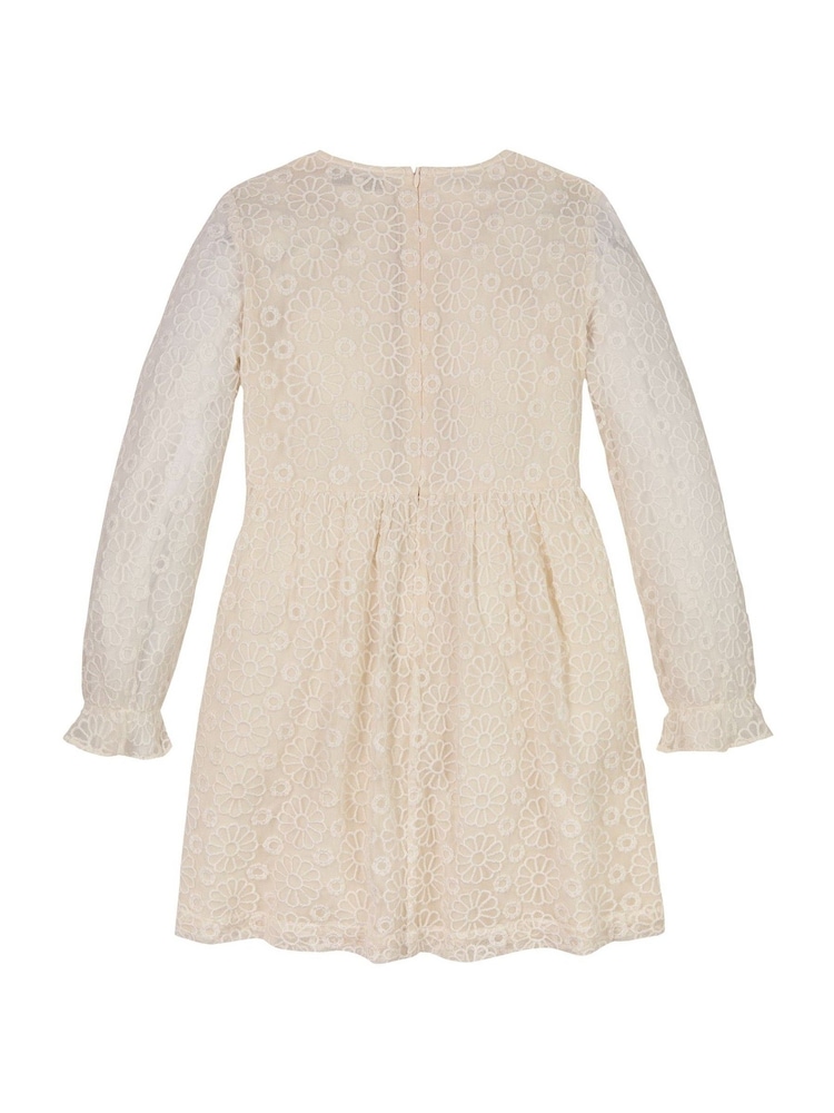 Tommy Hilfiger Nude Floral Lace Dress - Image 5 of 5