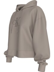 Calvin Klein Brown Relaxed Embroidered Hoodie - Image 4 of 5