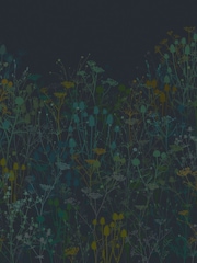 Clarissa Hulse Midnight Tanias Garden Fixed Size 4M Mural - Image 1 of 4