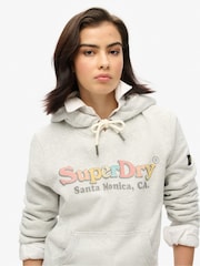 Superdry Grey Rainbow Logo Hoodie - Image 1 of 4