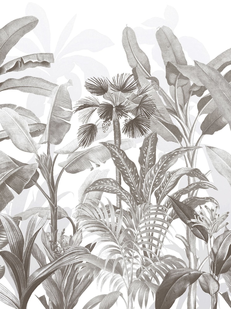 Graham & Brown Sketch Congo Fixed 4M Mural - Image 2 of 4