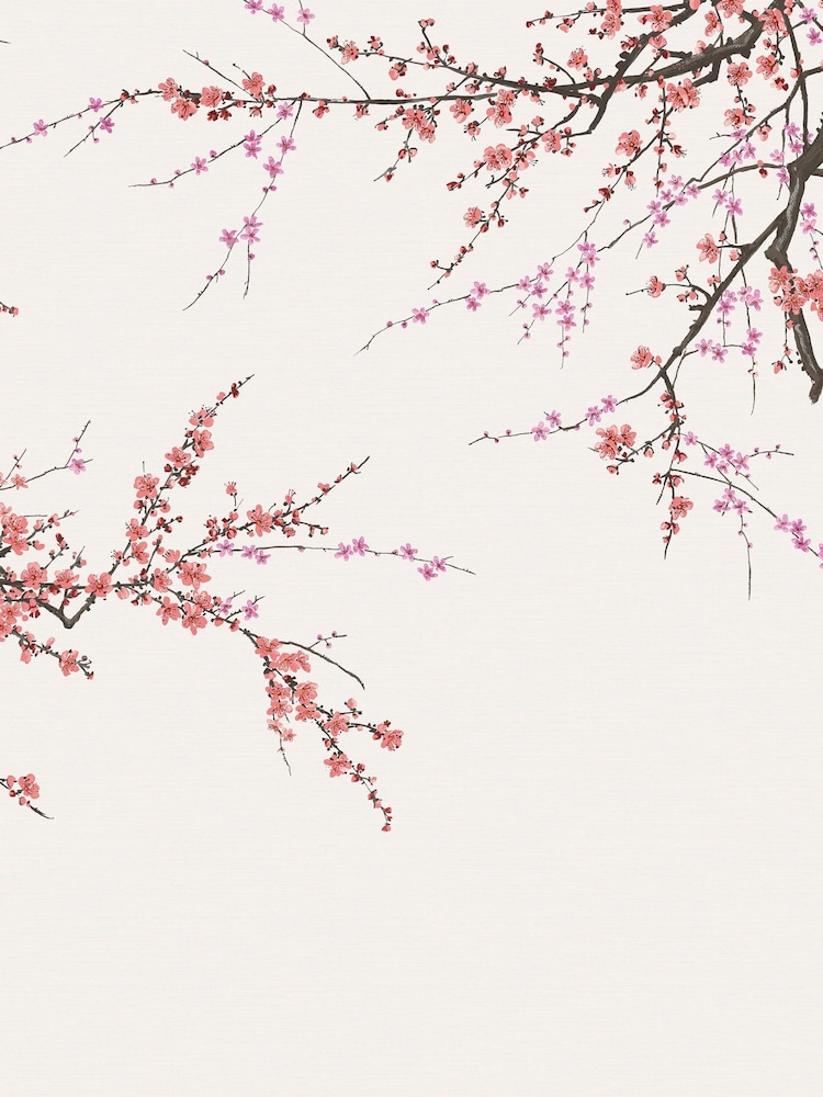 Graham & Brown Soft Pink Sakura Fixed 4M Mural - Image 2 of 4
