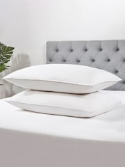 BHS Dreamy Nights All Natural Goose Feather Down 100% Cotton Pillows - Image 1 of 6