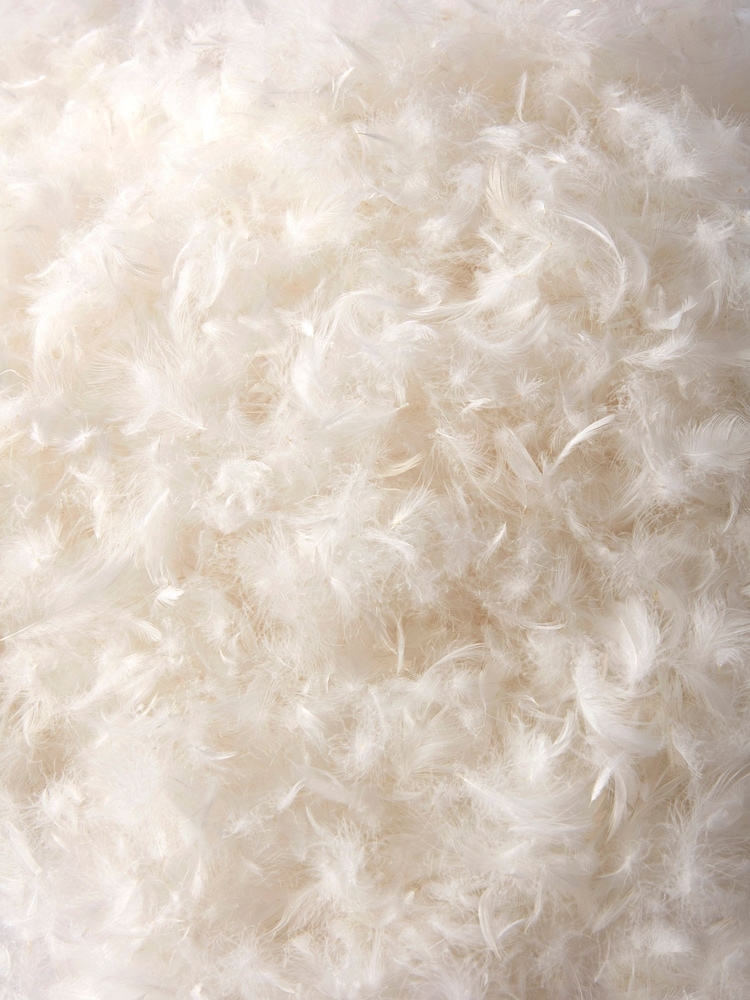 BHS Dreamy Nights All Natural Goose Feather Down 100% Cotton Pillows - Image 2 of 6