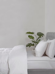 BHS Dreamy Nights All Natural Goose Feather Down 100% Cotton Pillows - Image 3 of 6