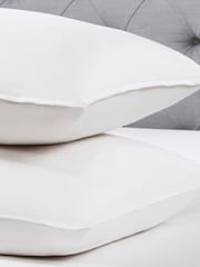 BHS Dreamy Nights All Natural Goose Feather Down 100% Cotton Pillows - Image 5 of 6