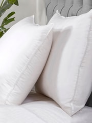 BHS Dreamy Nights All Natural Goose Feather Down 100% Cotton Pillows - Image 6 of 6
