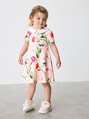 Baker by Ted Baker Bow Collared Ponte Dress - Image 1 of 1