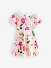 Mehrfarbig - Baker by Ted Baker Bow Collared Ponte Dress - Bild 4 von 7