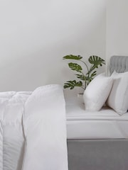 BHS 10.5 Tog 100% Cotton Duck Feather & Down Duvet - Image 1 of 5