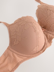 Praline Nude/Marineblau - Spitzen-BHs, 2er-Pack, DD+ - Image 10 of 12
