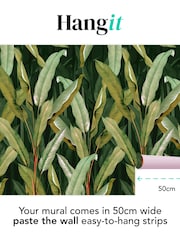 Art For The Home Green Banana Leaf Fixed Size 4M Mural - Image 3 of 5