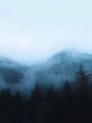 Art For The Home Navy Misty Landscape Fixed Size 3M Mural - Image 2 of 5