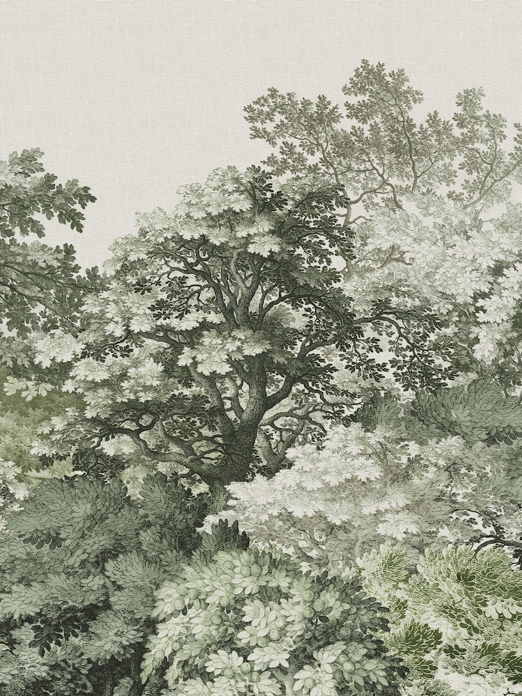 Art For The Home Sage Forest Canopy Fixed Size 3M Mural - Image 2 of 5