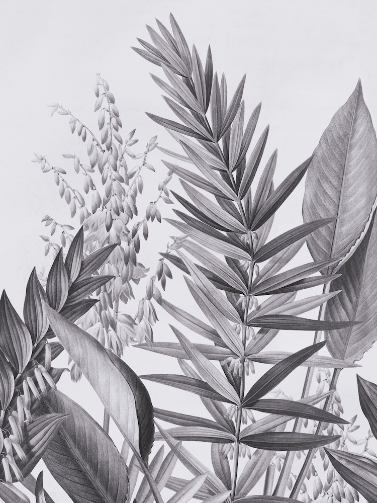 Art For The Home Black/White Flora & Fauna Fixed Size 2M Mural - Image 2 of 4