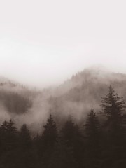 Art For The Home Neutral Misty Landscape Fixed Size 3M Mural - Image 2 of 5