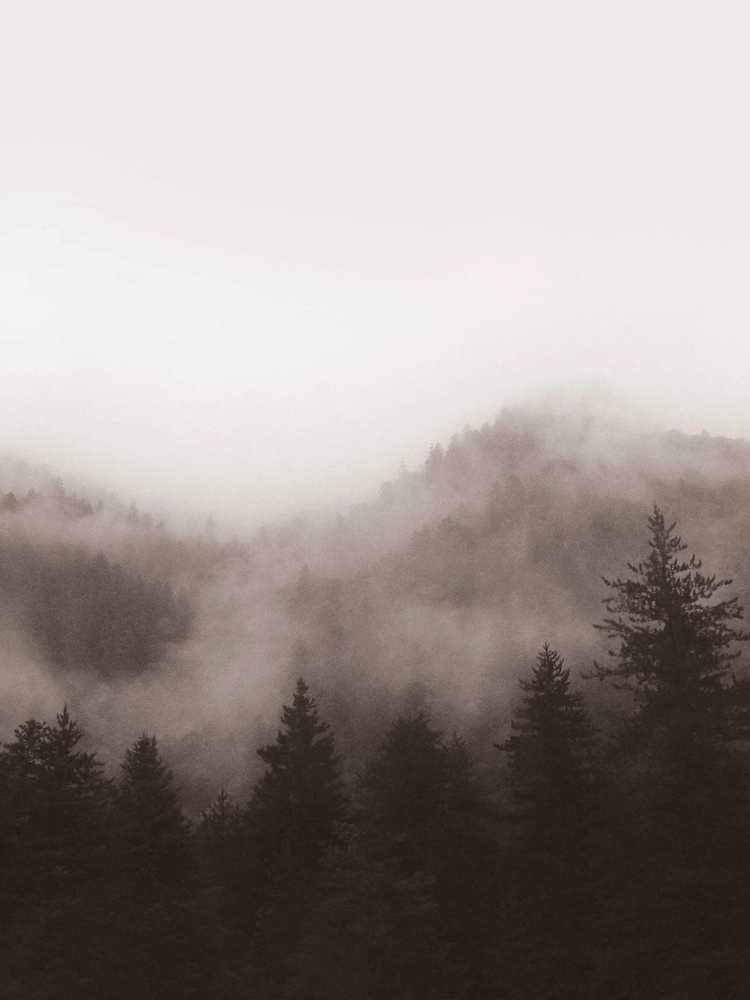 Art For The Home Neutral Misty Landscape Fixed Size 3M Mural - Image 2 of 5