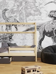 Art For The Home Mono Jurassic Dino Fixed Size 3M Mural - Image 1 of 3
