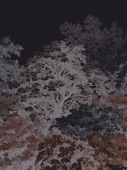 Art For The Home Navy Forest Canopy Fixed Size 3M Mural - Image 2 of 5
