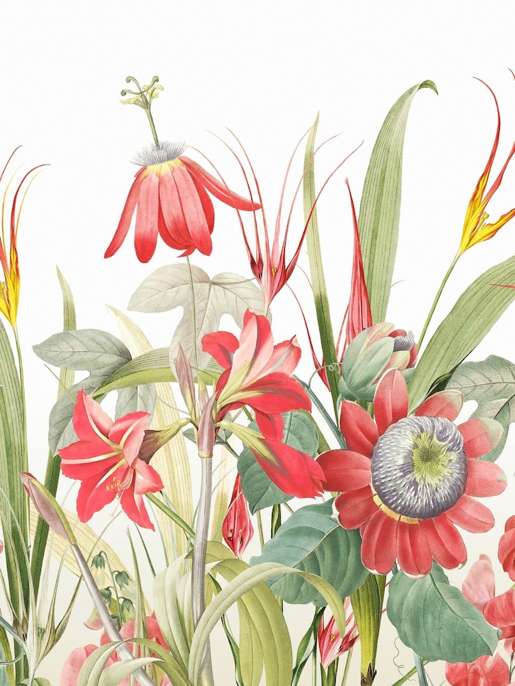 Art For The Home Red Flora Fixed Size 3M Mural - Image 2 of 3
