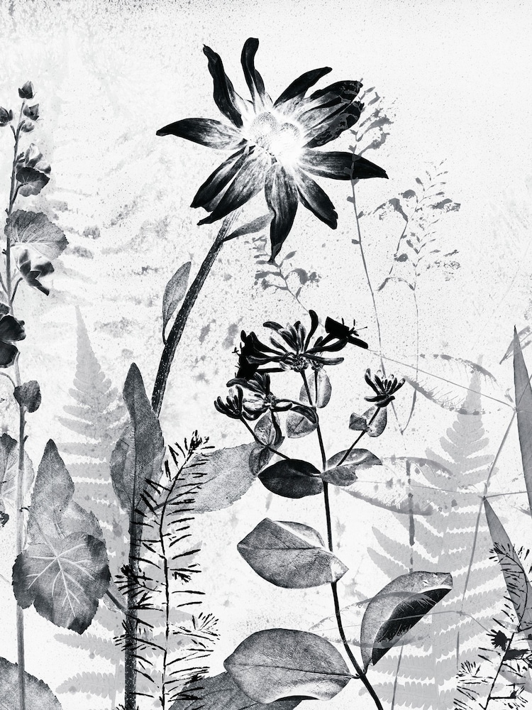 Art For The Home Mono Flower Press Fixed Size 3M Mural - Image 2 of 3