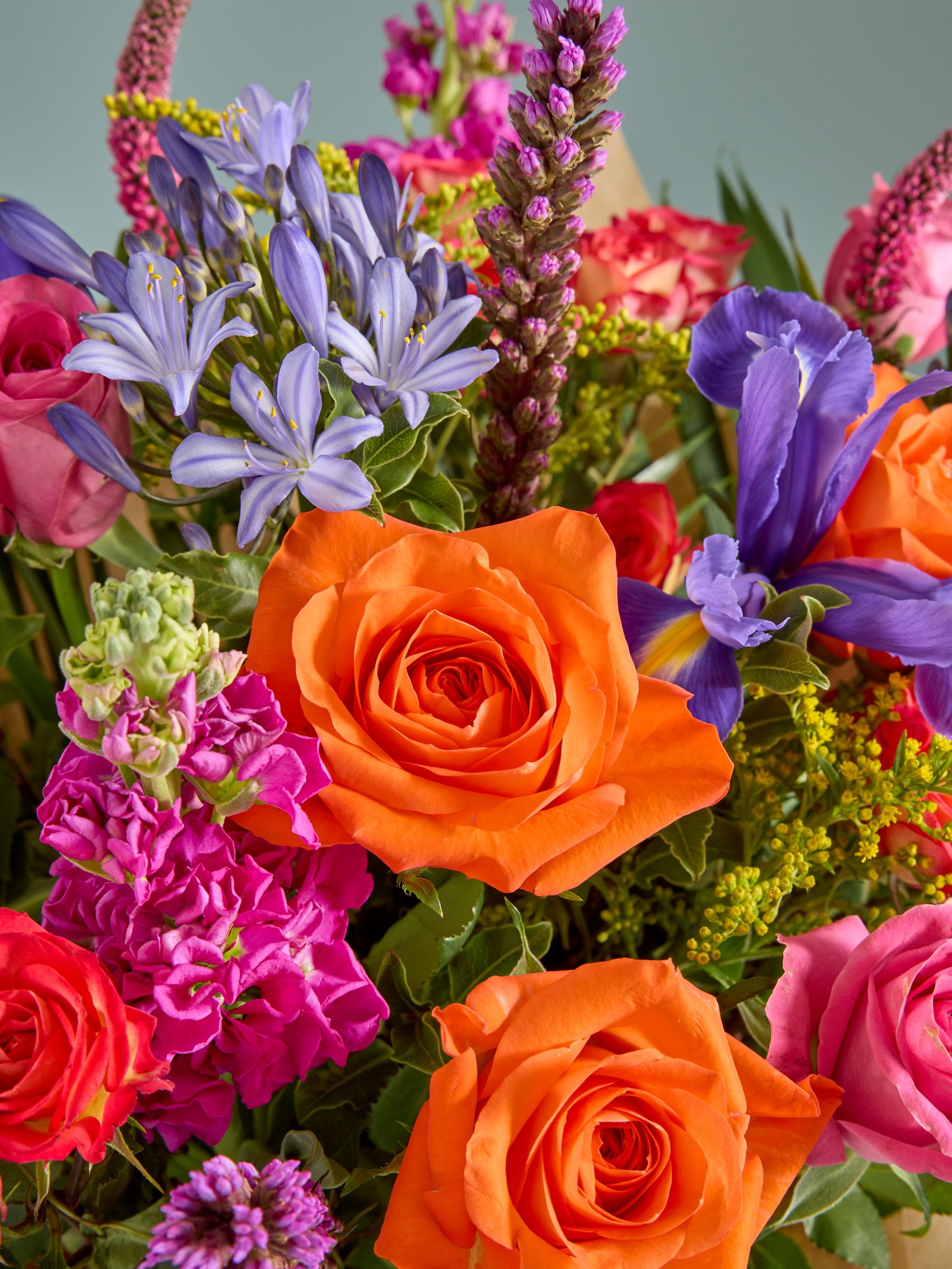 Buy Bright XL Rose and Iris Fresh Flower Bouquet from the Next UK