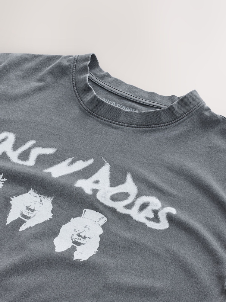 Grey Guns N' Roses Relaxed Fit Band Graphic Print T-Shirt - Image 8 of 8