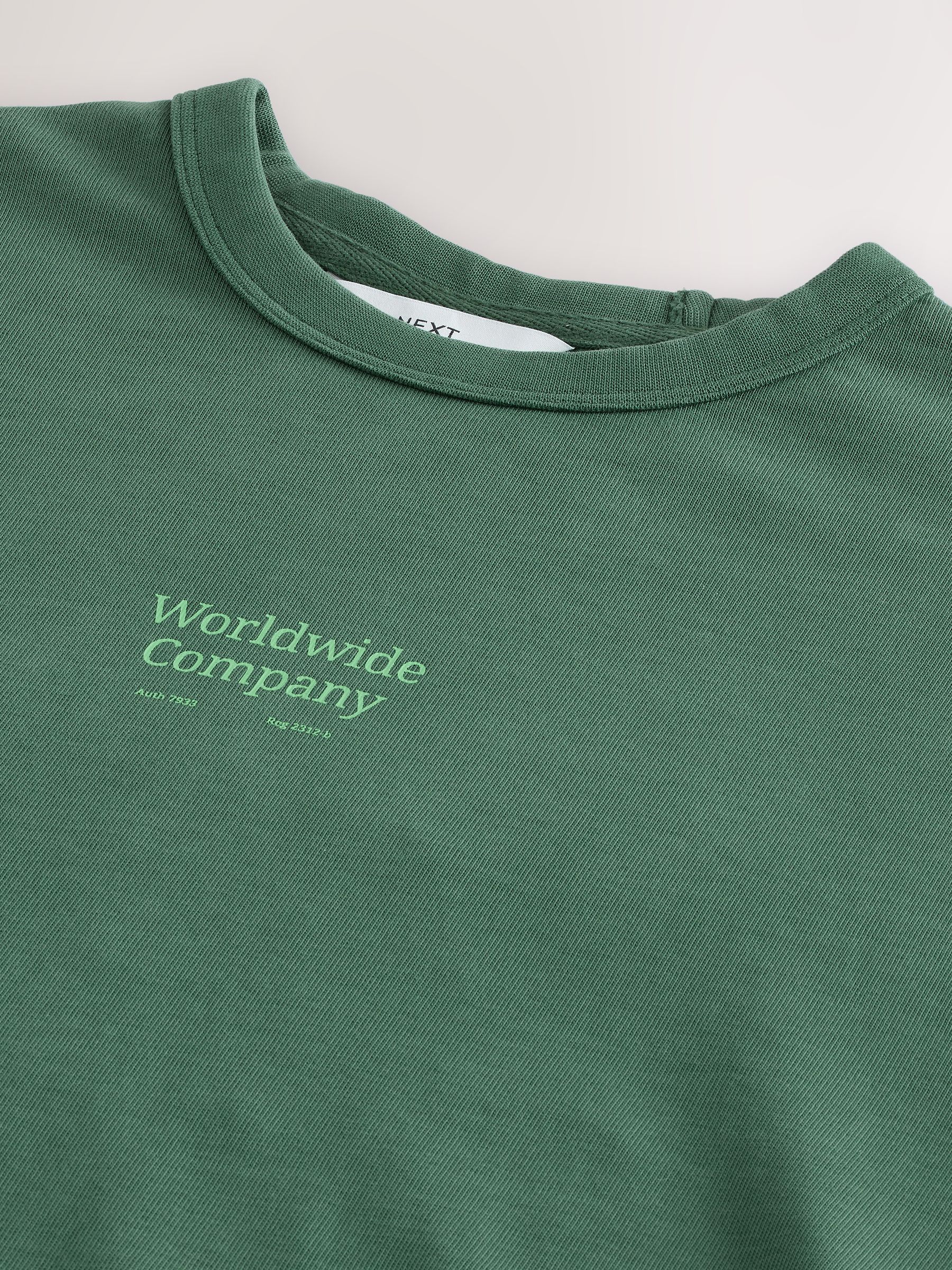 Buy Green Relaxed Fit Graphic Print Heavy Weight T-Shirt from the