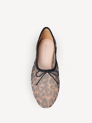 Loeffler Randall Brown Landon Soft Ballet Shoes - Image 5 of 7