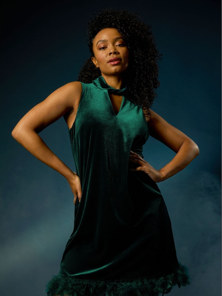Roman Green Petite Velvet Feather Hem Dress - Image 1 of 4