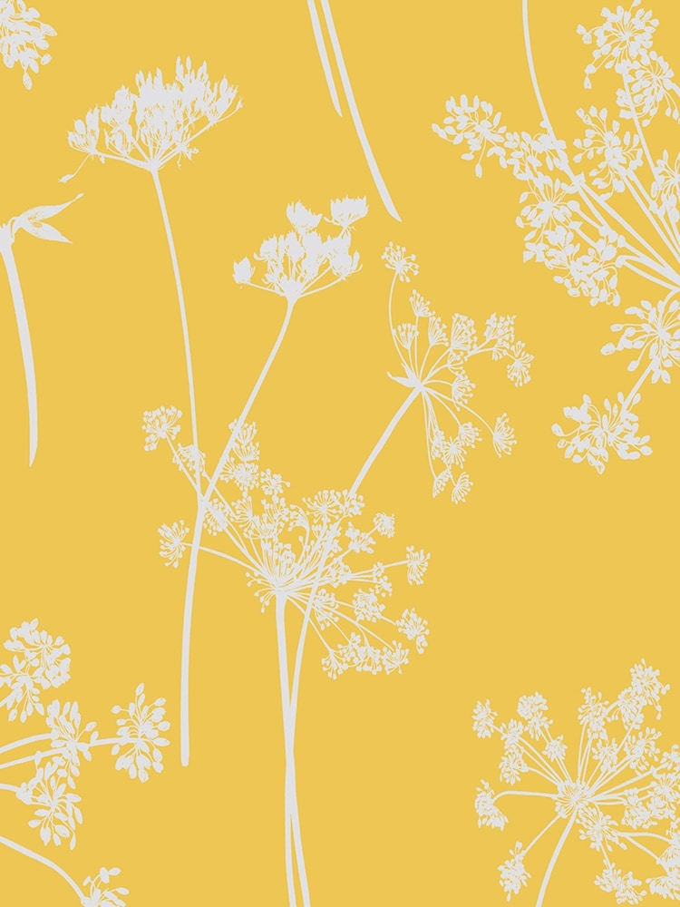 Graham & Brown Summer Anthriscus A4 Wallpaper Sample - Image 2 of 3 Graham & Brown Summer Anthriscus A4 Wallpaper Sample - Image 2 of 3