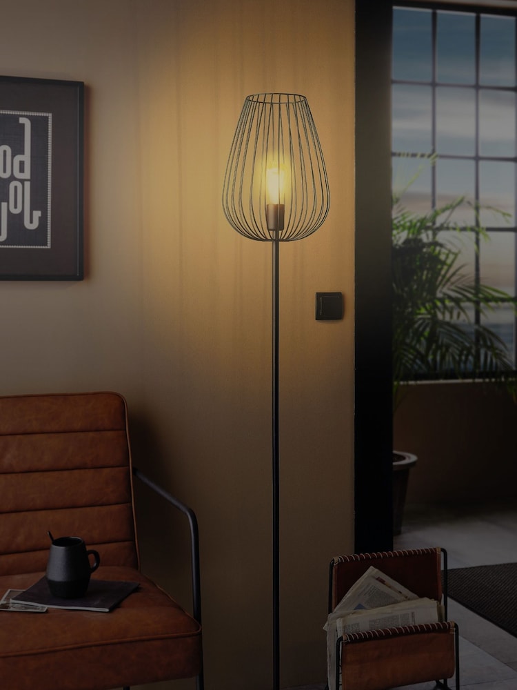 Eglo Black Newtown Caged Floor Lamp - Image 2 of 5
