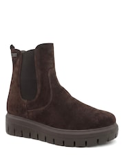 Smeđa - Jones Bootmaker Marbella Kožne čizme na platformi za gležnjeve - Slika 3 od 6