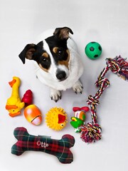 Personalised Christmas Tartan Dog Bone Toy by Jonnys Sister - Image 1 of 3