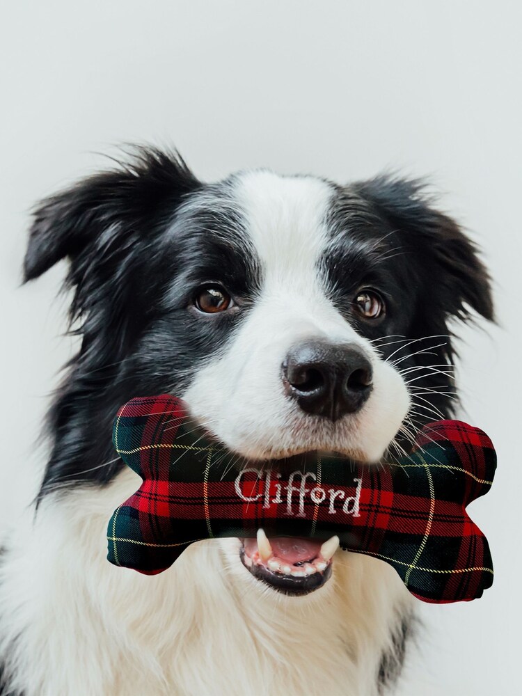 Personalised Christmas Tartan Dog Bone Toy by Jonnys Sister - Image 2 of 3