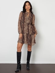 Threadbare Brown Leopard Print Tiered Chiffon Mini Dress - Image 2 of 4