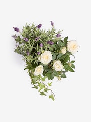 Lilac/White Lavender and Rose Real Plant in Pail - Image 4 of 4