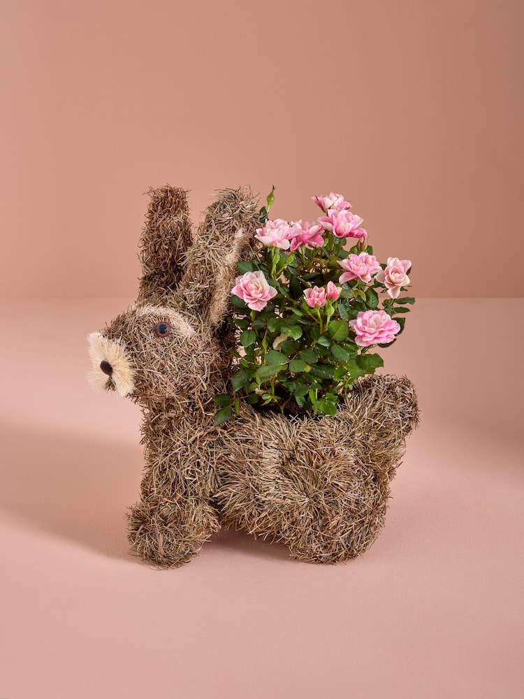 Pink Scented Rose Real Plant in Bunny Planter - Image 1 of 4