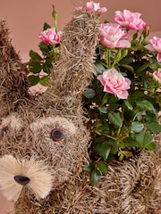 Pink Scented Rose Real Plant in Bunny Planter - Image 2 of 4