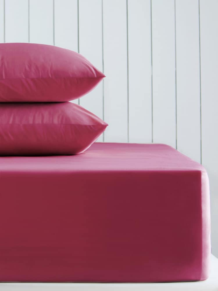 Berry Pink Cotton Rich Extra Deep Fitted Bed Sheet - Image 1 of 1