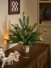 Green Nordmann Fir 1.5ft Pre Lit Christmas Tree - Image 1 of 5