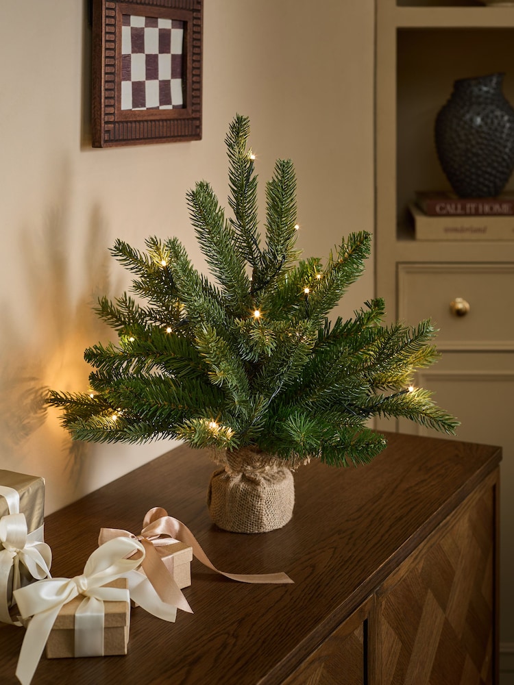 Green Nordmann Fir 1.5ft Pre Lit Christmas Tree - Image 1 of 5