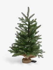 Green Nordmann Fir 3ft Pre Lit Christmas Tree - Image 3 of 6