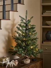 Green Nordmann Fir 3ft Pre Lit Christmas Tree - Image 4 of 6