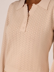 Adrianna Papell Pink Long Sleeve Pointelle Sweater With A Polo Collar - Image 5 of 6